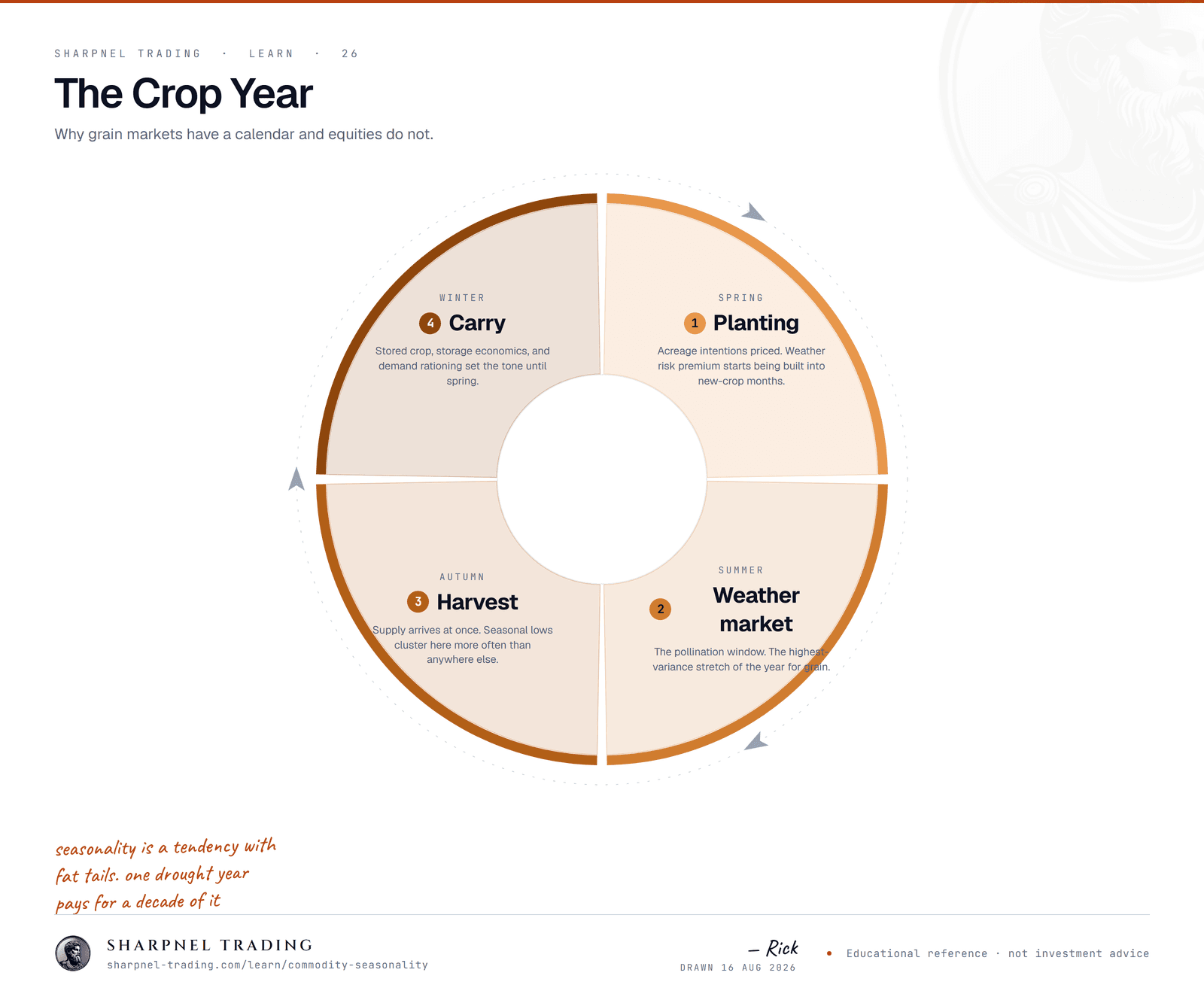 A four-phase seasonal cycle for grain markets: planting in spring, the summer weather market, harvest in autumn, and the winter carry period, repeating annually.